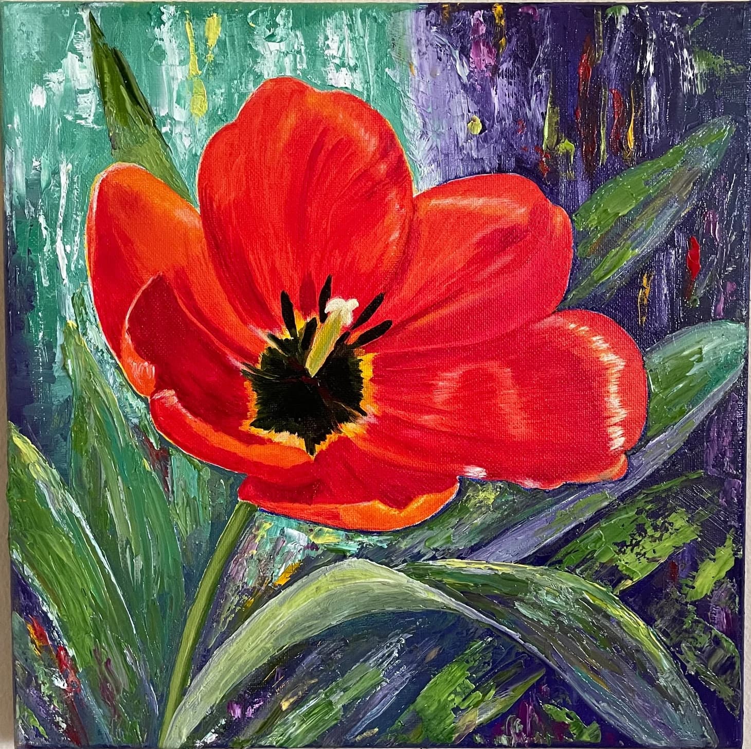 Radiant Tulip in Bloom