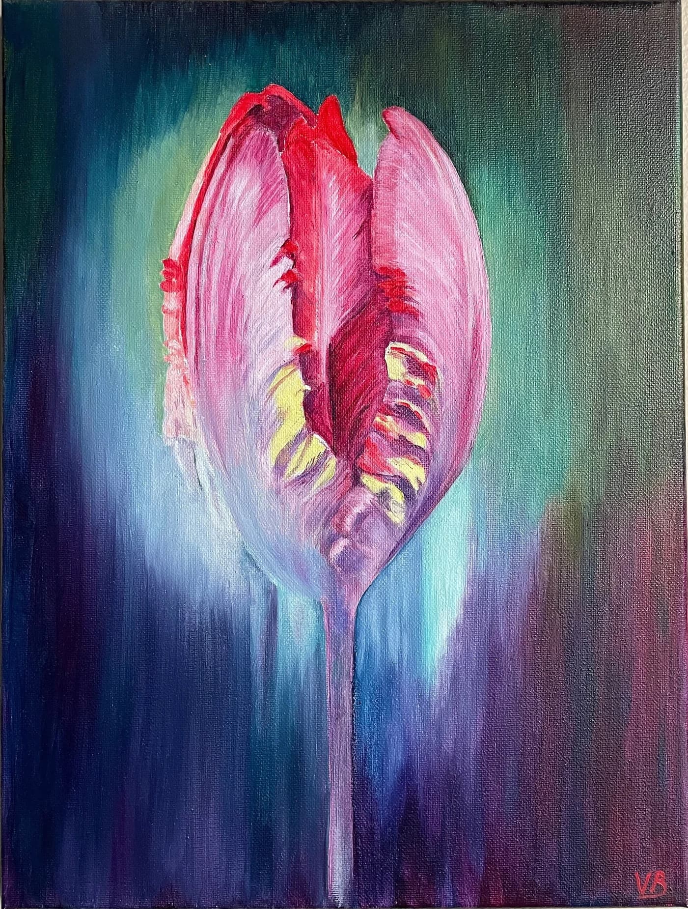 Tulip Blossom in Contrast